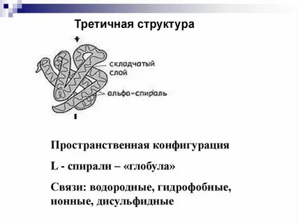 Конфигурация третичной структуры белка