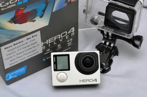 Gopro silver