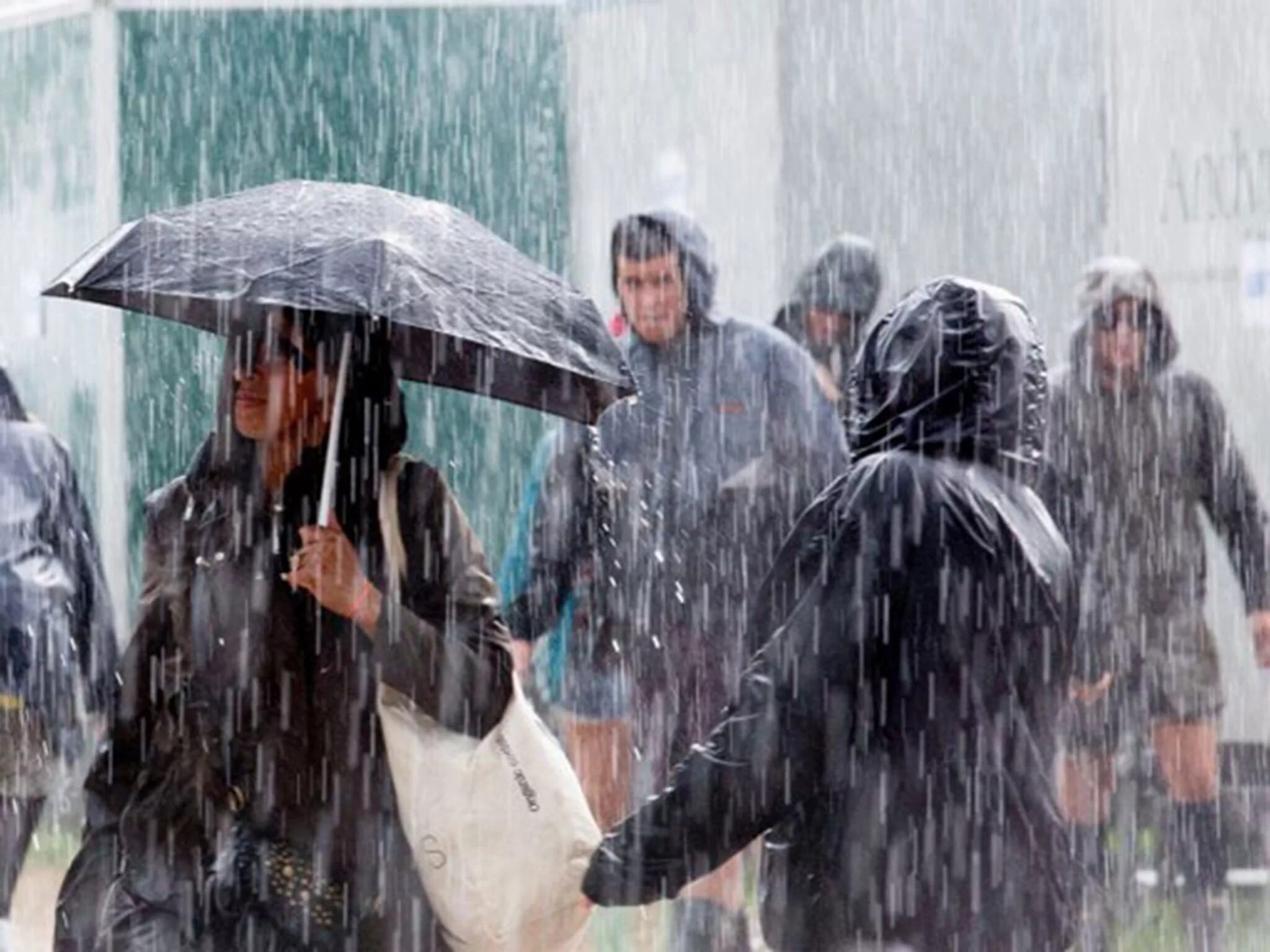 Дождь объединяет. Heavy rain weather. ливень. сильный дождь. проливной дождь.