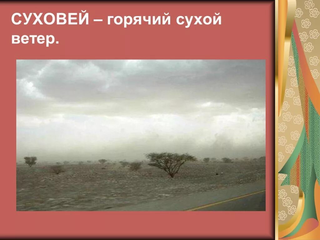 Районы суховеев. Ветер Суховей в степи. Сухой горячий ветер. Презентация на тему суховеи. Суховеи в степи.