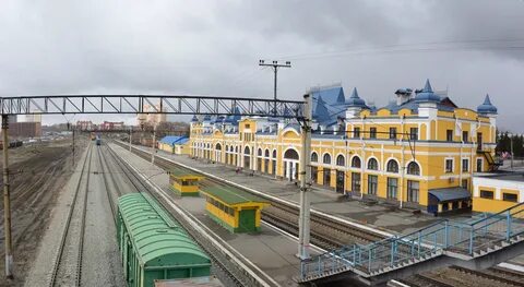 Томск 1 тайга