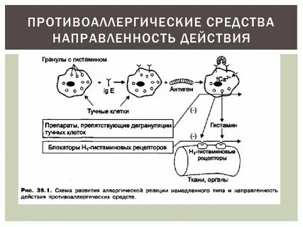 Действие антигистаминных препаратов