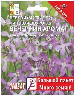 Ночная фиалка семена