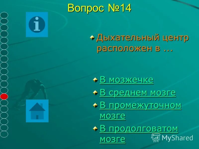 дыхание какой вопрос