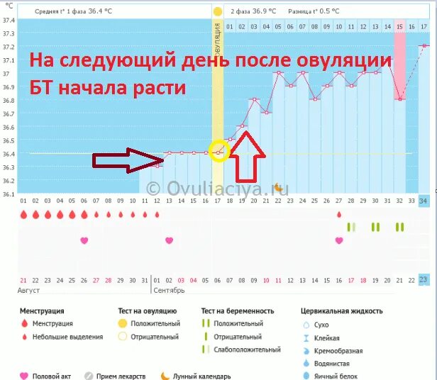 Дни овуляции. Планирование по овуляции. Планирование беременности по овуляции. Планировать девочку по овуляции.