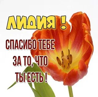 Привет спасибо что ты есть