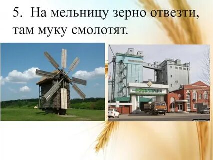 Там муку