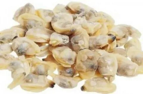 Ракушки замороженные