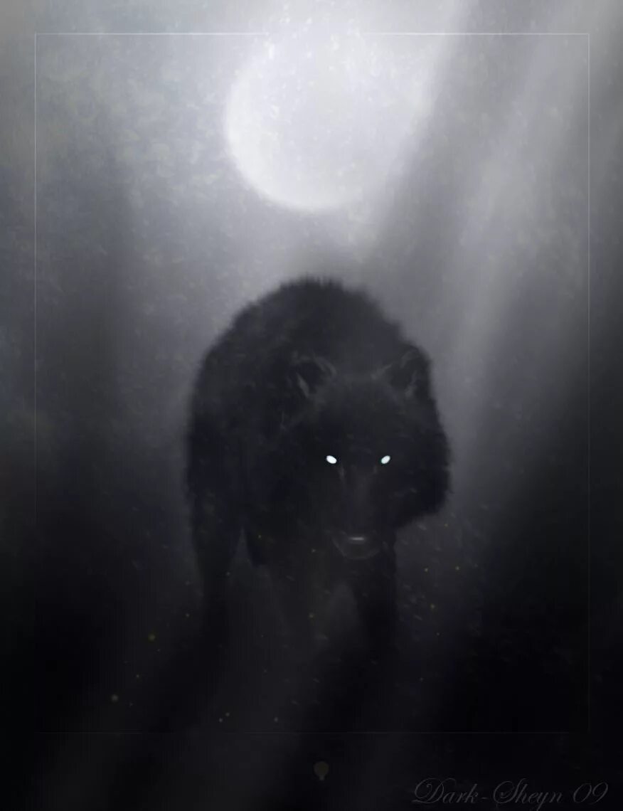 Волк выходит ночью. Волк со светящимися глазами. Волк в темноте. Черный волк. Глаза волка в ночи.
