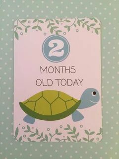 2 months old