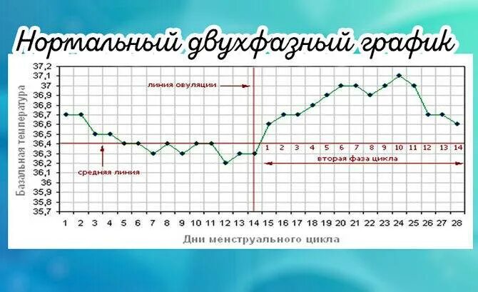 Температура женщины перед месячными. График температуры цикла месячных. График базальной температуры менструационного цикла. Температурный график менструального цикла. График БТ перед месячными при беременности.