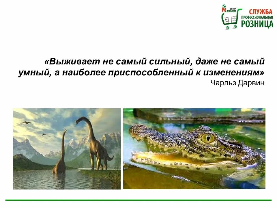 Выживает не самый сильный и умный. Выживает наиболее приспособленный. выживает наиболее приспособленный дарвин. выживают самые приспособленные. выживает не самый сильный а самый приспособленный.