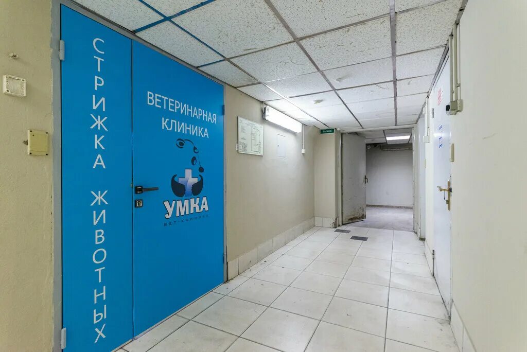 Умка ветеринарная клиника. Ветлечебница умка. Ветлечебница умка. Ветлечебница умка. Ветеринарная клиника новороссийск умка.