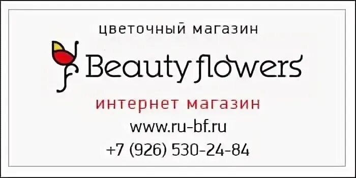Домолан техподдержка телефон