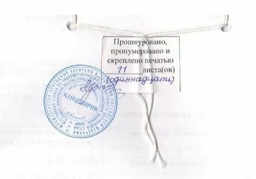 Как правильно подшивать документы? О бумаге Дзен