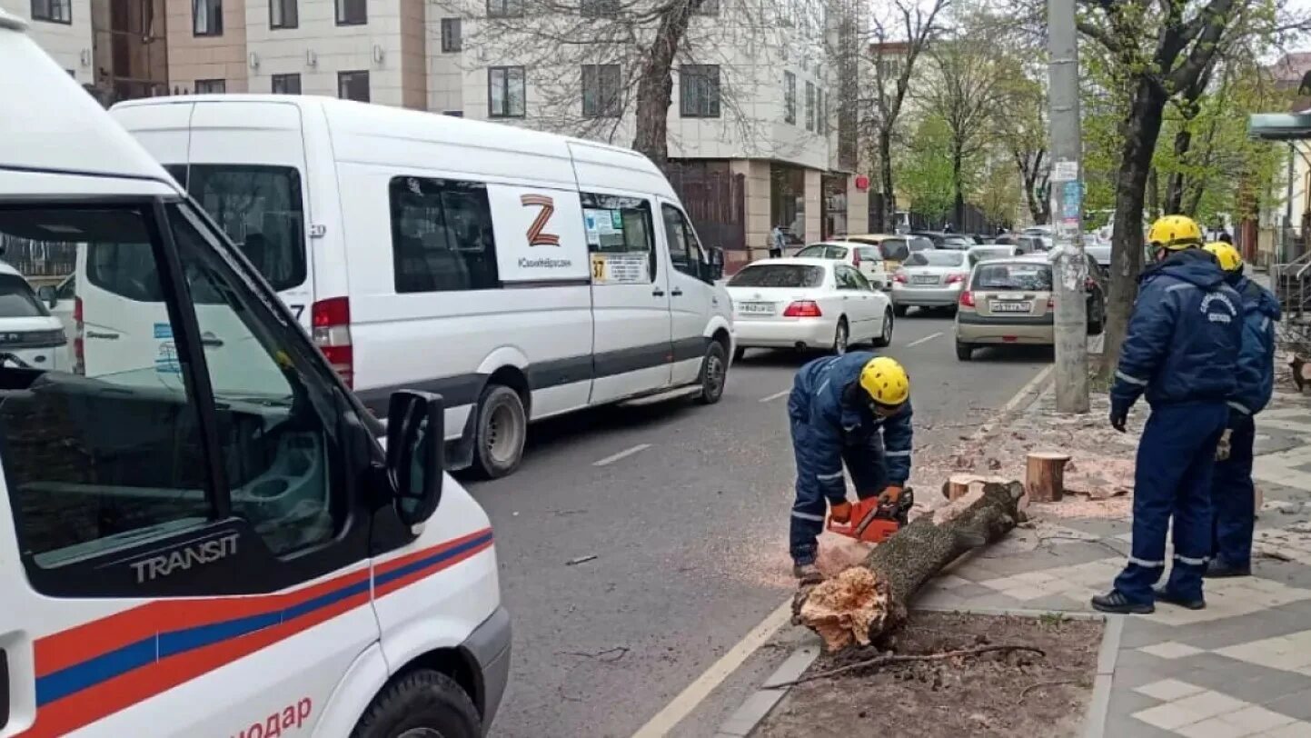 Новости краснодара сейчас последние на сегодня. Краснодар знаменский новости сегодня происшествия. Новости краснодара сейчас последние на сегодня. Новости краснодара сегодня последние. Дтп краснодар сегодня на красных партизан.