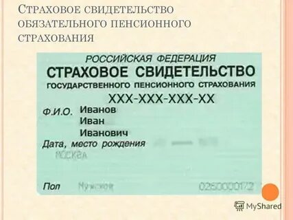 Как получить пластиковый снилс
