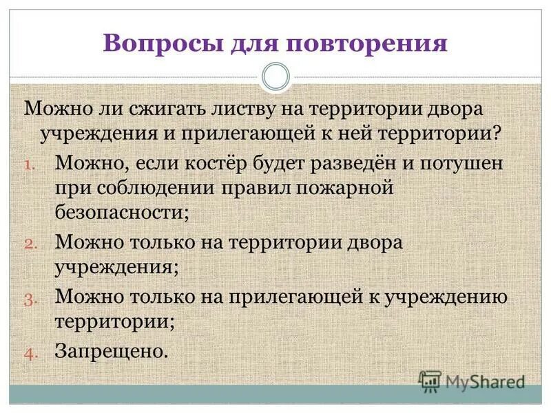 Можно ли сжигать листву на территории двора.