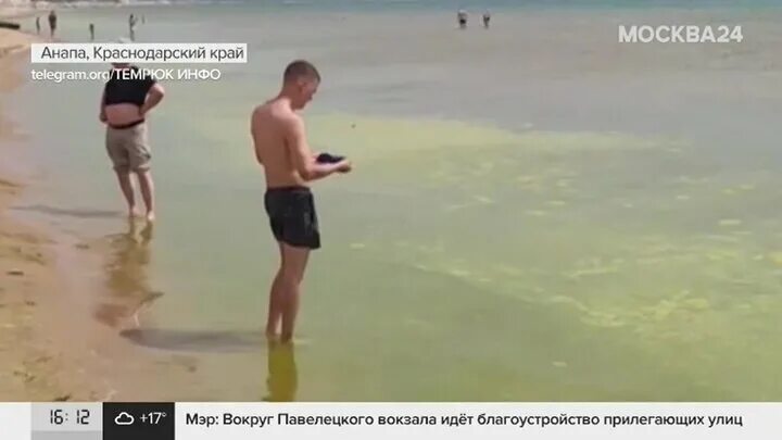 Когда потеплеет море в анапе июнь 2025. Когда цветет море в анапе 2016 год. когда цветет море в анапе. анапа море цветет 2025. когда в анапе цветет море в каком месяце.