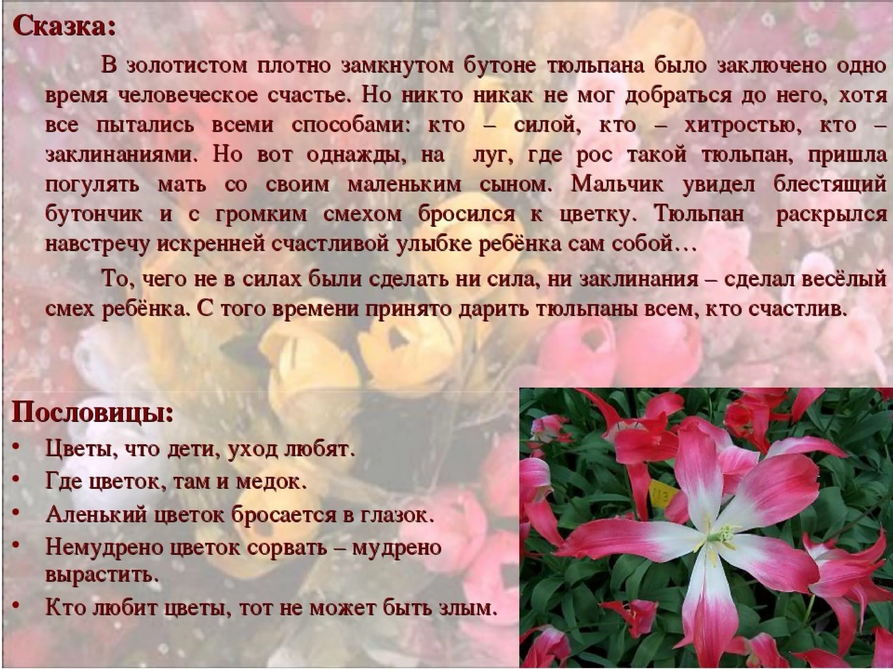 Рассказ о тюльпане. Легенды о цветах тюльпан. Сказочная история про тюльпан. Рассказ о цветке тюльпан. Стихотворение про тюльпаны