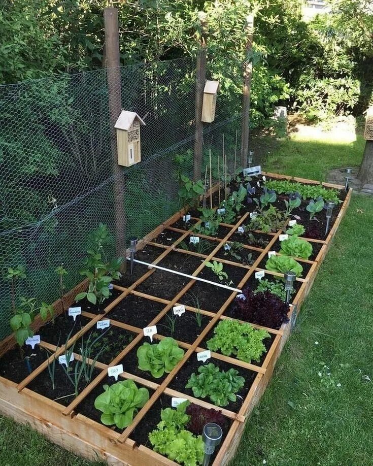 Сад огород фото видео Instagram Vegetable garden design, Vegetable garden, Garden layout