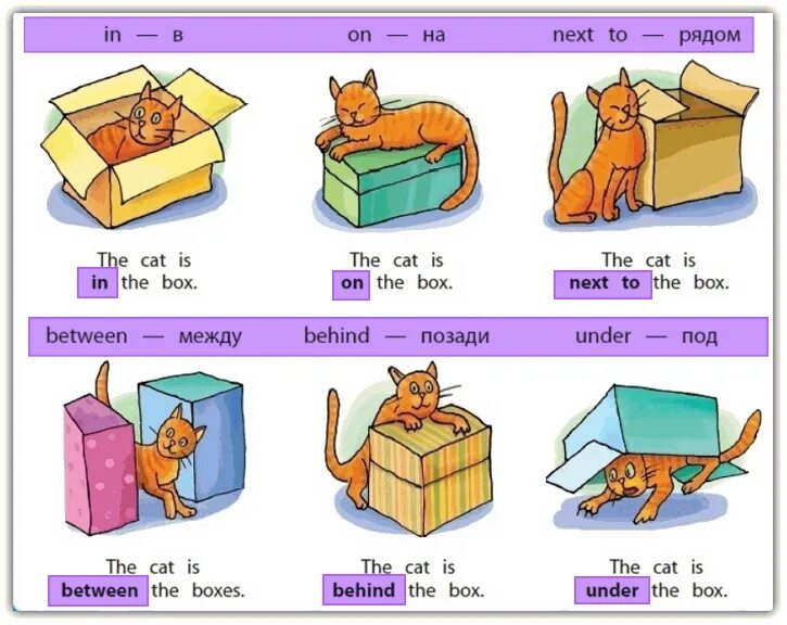 Предлоги места в английском языке. Английские предлоги. Английский предлоги места таблица. Предлоги места в английском языке 5 класс.