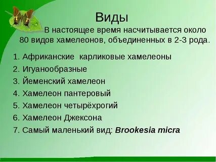 Хамелеон 3 класс