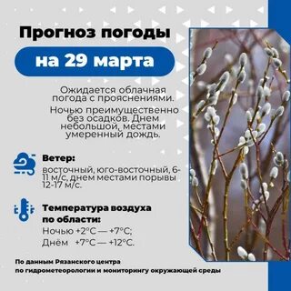 Погода в марте 2023