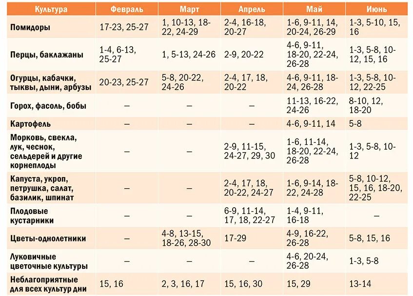 Благоприятные дни для посадки дыни