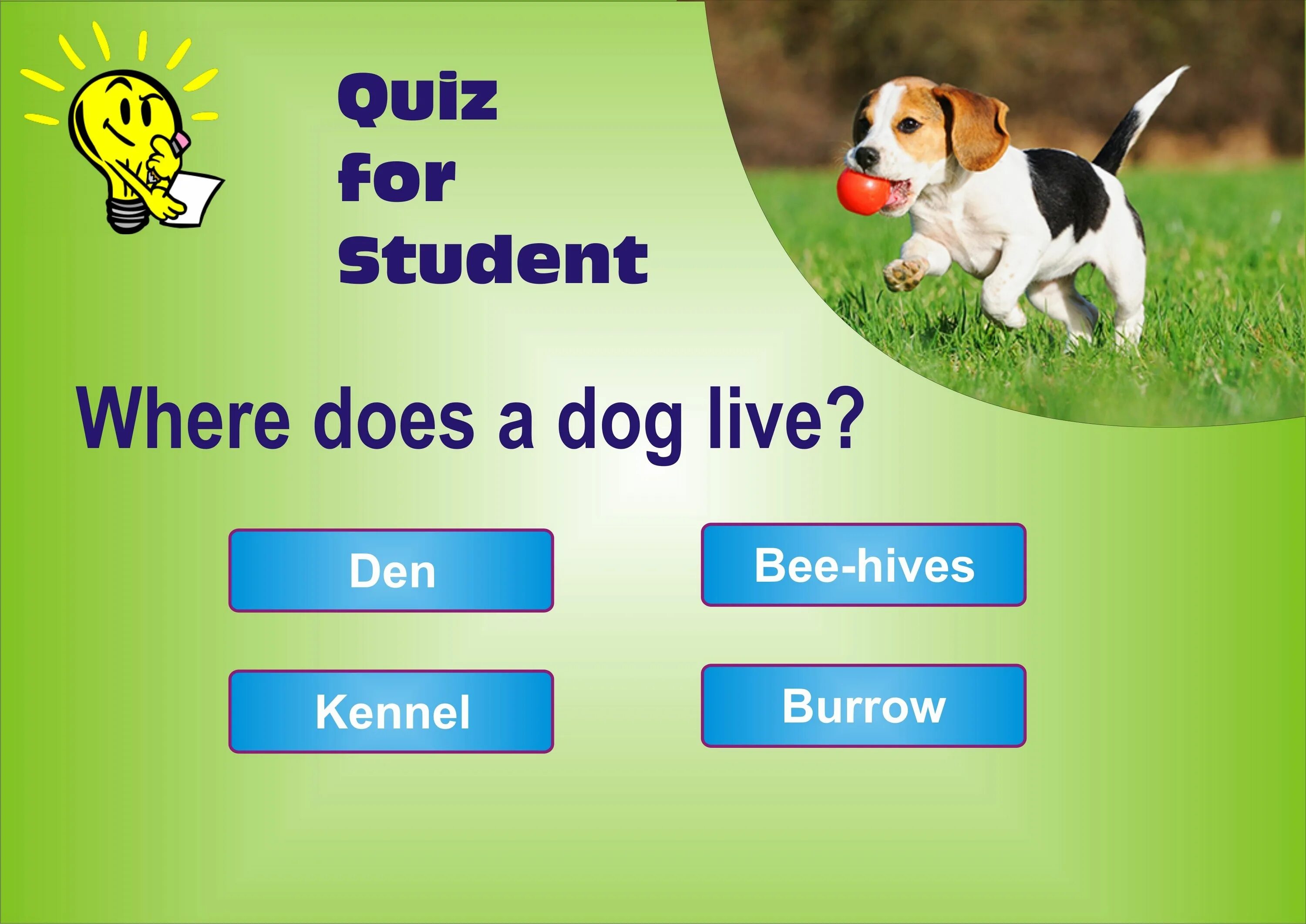 School quiz. Quiz for children. Quiz Kids. Pupil Quiz.