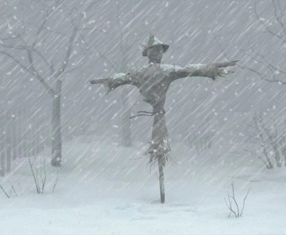 Пугало в снегу. Антарктида холодно. Пробирающий холод. Красивый парень в шапке. Зима холода.