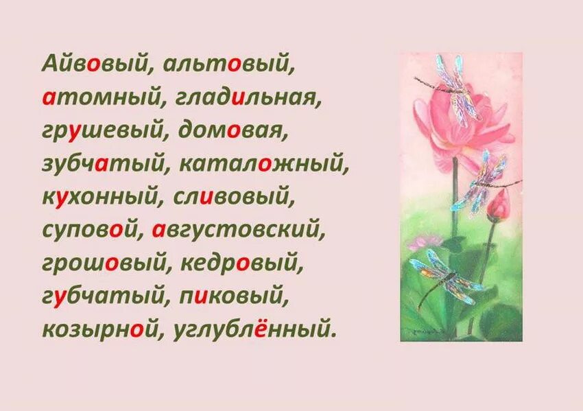 Ударение ы слове красивее. Сливовый ударение. Сливовое варенье ударение. Сливовыйсливовый ударение. Вишневый ударение.