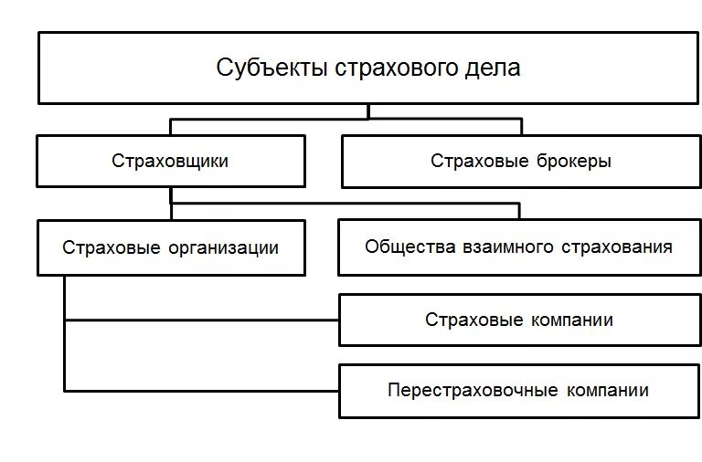 См вэд. Субъекты страхового дела таблица. Субъекты страховой деятельности. Виды субъектов страховой деятельности. Субъекты страхового дела схема.