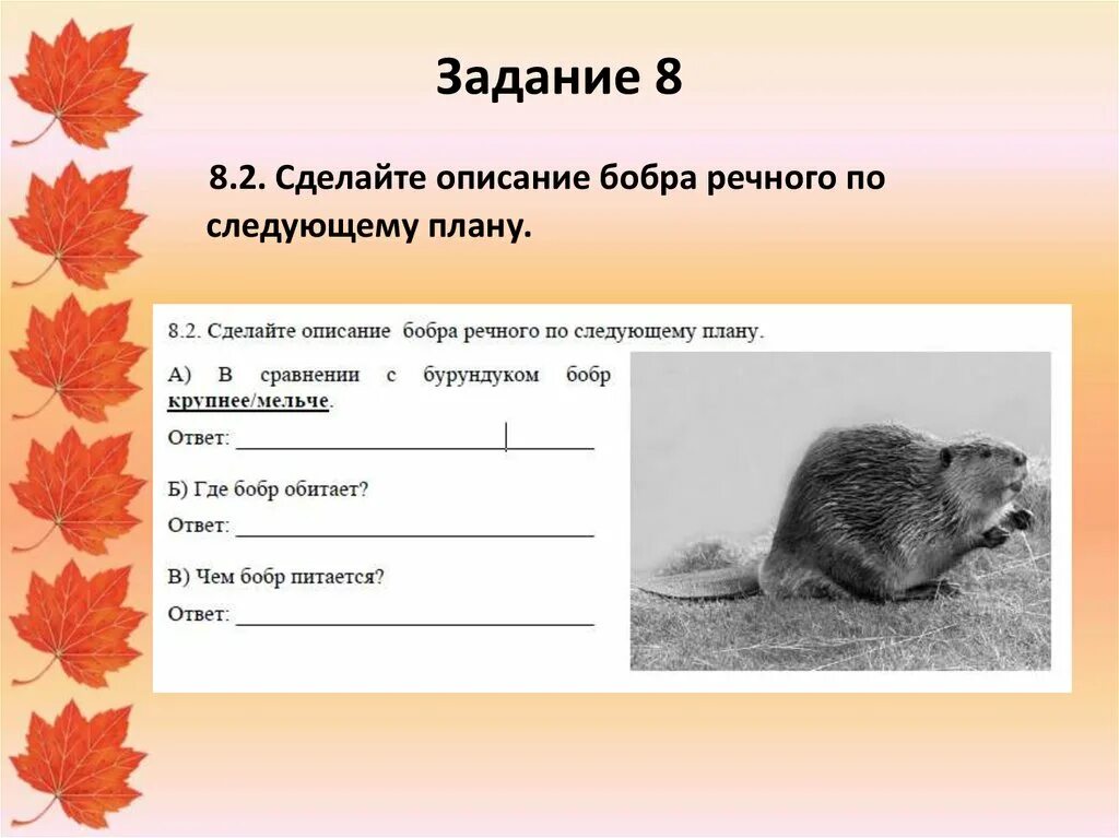 Бобры проверочное. Сделайте описание бобра по следующему плану. Сделайте описание. Описание бобра ВПР. Бобр и бурундук.