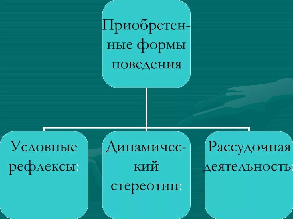 Какие формы поведения можно отнести к приобретенным