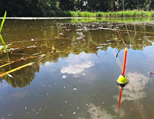 Поплавок погруженный в воду. Поплавок для рыбалки. Поплавочная ловля. Поплавок клюет. Поклевка на поплавок.