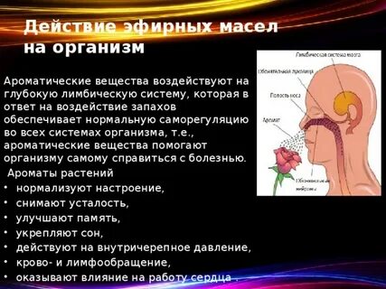 Эфирные масла душистые вещества