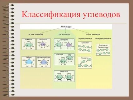 Самостоятельная работа по биологии 9 класс углеводы
