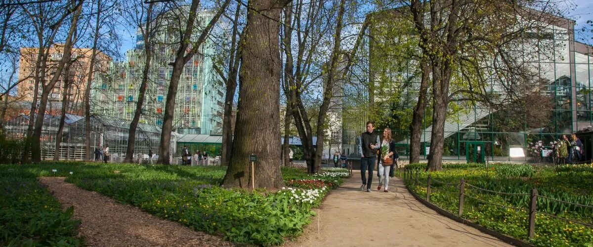 Аптекарский огород в москве цена билета. Аптекарский огород. Аптекарский огород апрель 2023. Аптекарский огород магазин растений.