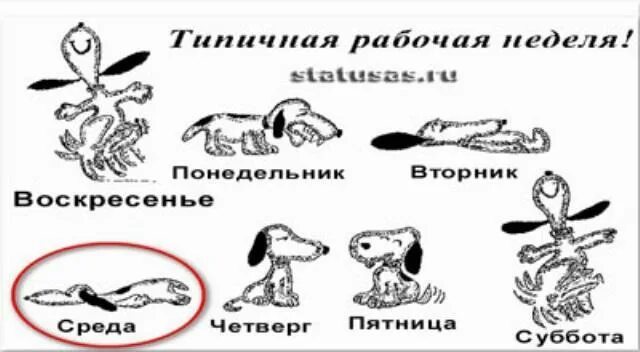 Пятница суббота 21. Смешные картинки про рабочую неделю. Рабочая неделя рисунки. Рабочая неделя приколы. Рабочая неделя картинки.