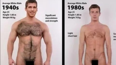 Average guys nude