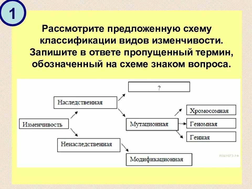 Рассмотрите предложенную схему классификации видов изменчивости. Рассмотрите предложенную схему типа. Рассмотрите схему запишите в ответе пропущенный. Запишите пропущенный термин обозначенный на схеме знаком. Рассмотрите предложенную модель и выполните следующие задания