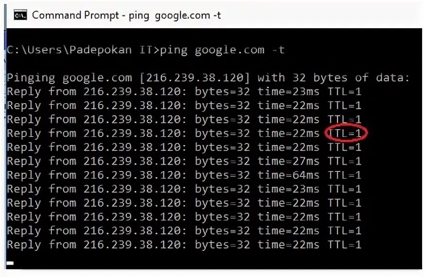 Ping ttl