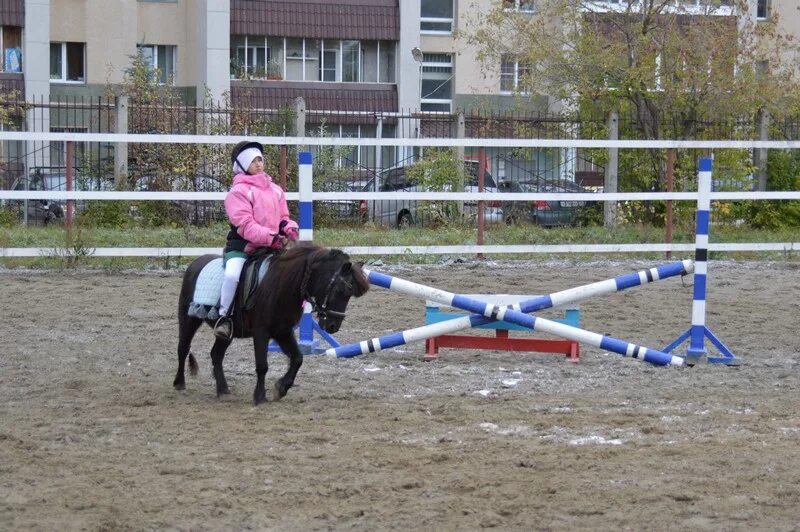 Соревнования по конкуру. Мустанг озерск. Конно спортивная база. Кск мустанг ханты-мансийск соревнования 2022 год. Лошадь на востоке.