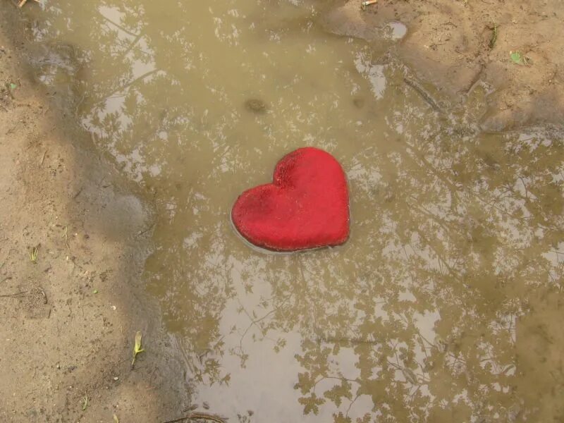 я тоже люблю видео