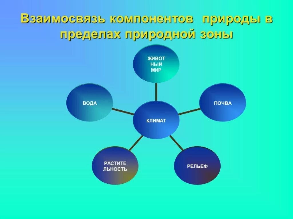 Природные компоненты россии география 8 класс. Взаимосвязь компонентов природы. Взаимосвязанные компоненты природы. Схема взаимосвязи компонентов природы. Взаимосвязи между компонентами природы.