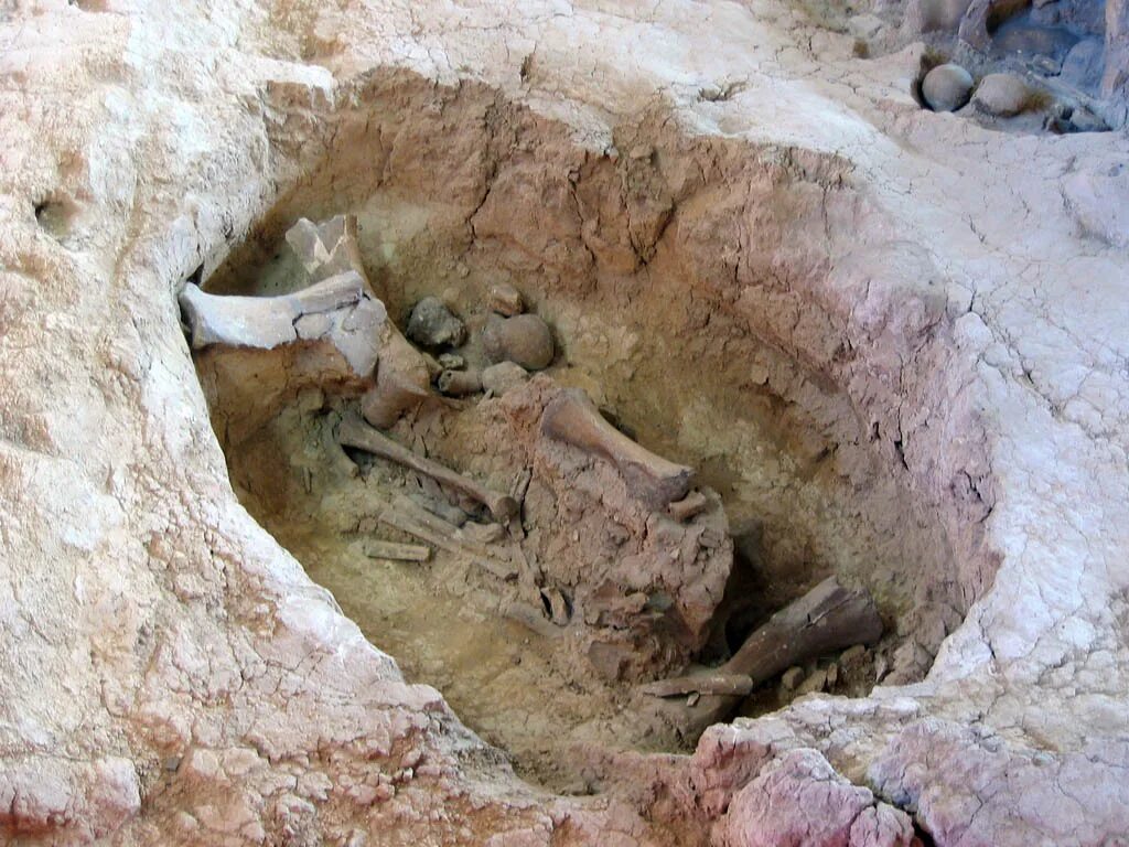 воронеж древняя цивилизация. село костенки археологический заповедник. раскопки костёнки воронежская. костенки археологический памятник. воронеж древняя цивилизация.