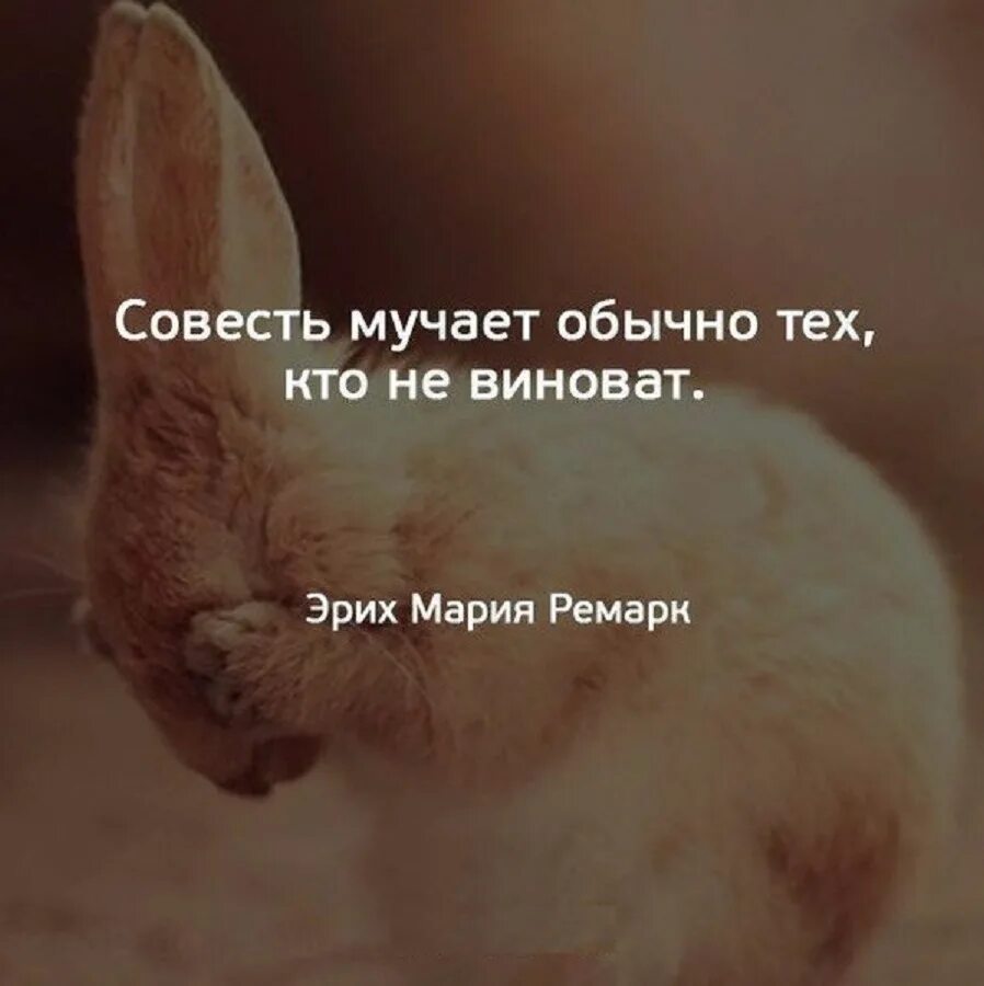 Совесть мучает обычно тех кто не виноват. Совесть обычно мучает тех кто не виноват Ремарк. Совесть мучает обычно тех. Мучения совести.