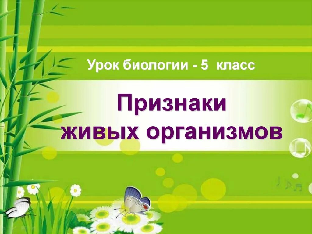 8 класс фгос уроки биологии. Признаки живых организмов биология. Признаки живых организмов 5 класс. Признаки живых организмов биология 5 класс. Признаки живого 5 класс биология.