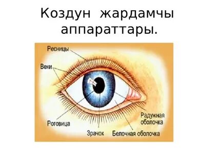 Пьер Вудман және оның порно кастингі